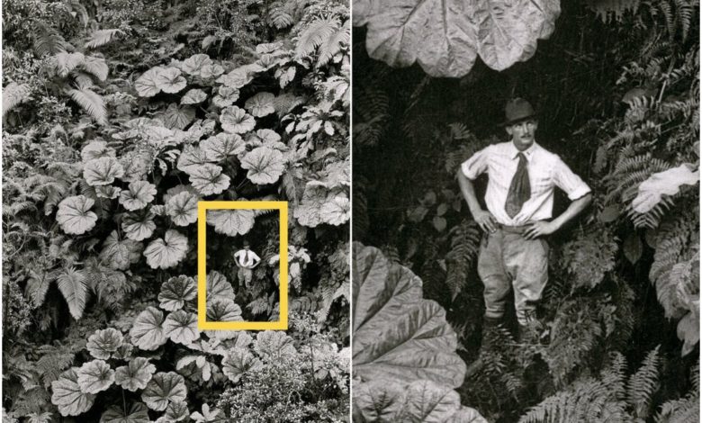 Photo of «Мальчик-с-пальчик»: фото из архива National Geographic