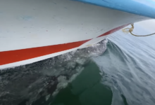 Photo of Серый кит прокатил лодку с туристами по волнам: видео